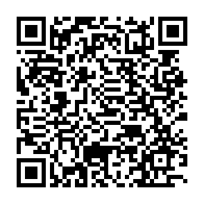 International EPC SEPA payment QR code